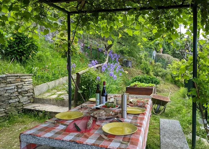 Ratto Del Gallo 스트레사